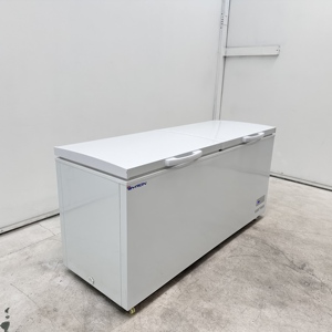 Congelatore a pozzetto da 260L con design compatto per esposizione di prodotti surgelati in piccoli negozi e boutique - Product Image 6