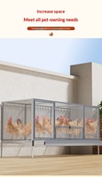 Cage à poussins d'un jour de haute qualité avec cadre en fer galvanisé classique, emballée en boîte, conception anti-rongeurs, collecte des œufs