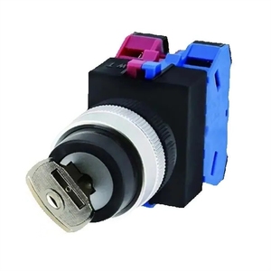 Interruptor de llave Idec ASW2K10 2K01 2K11 2K20 <span class=keywords><strong>2K22</strong></span> 2KB 2K12 - Product Image 1