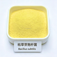 Bacillus Subtilis 100 Mil Millones de UFC/g, Aditivo Alimentario para Cabras Lecheras, Enzimas de Lactancia Multimensual, Potenciador de Alimento para Cabras en Lactancia