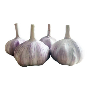 beschneiter künstlicher weihnachtsbaum Beschneiter Weihnachtsbaum aus PVC 15013 – 120 cm main image 1