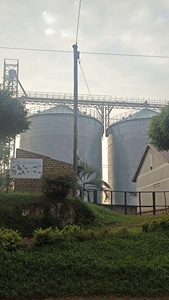 100T/500T/1000T/2000T/5000T/10000T Galvanized Silo for Rice Maize Paddy Wheat Coffee Beans <b>Seeds</b> <b>Storage</b> - Product Image 6