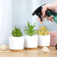 Dropshipping Pots pour succulentes Petits pots pour succulentes en céramique de 3.31 pouces avec drainage Jardinières pour succulentes blanches Pots de fleurs pour plantes