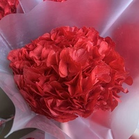 Vente en gros usine – Matériel DIY de style INS de la meilleure qualité : Hortensia à grandes feuilles véritablement préservé pour fournitures de fleuristes et décorations de mariage