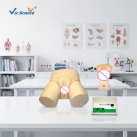 Modèle de formation en soins infirmiers : Mannequin électronique pour l'enseignement et la pratique du cathéter, de l'irrigation et du modèle de col de l'utérus prénatal