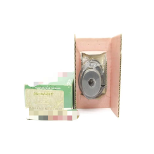 198-616-2-D Nuovo Originale Pronto per la Spedizione Controllore PLC per Automazione Industriale - Product Image 1