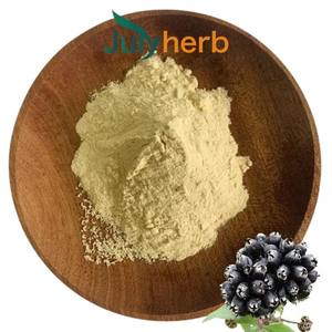 Julyherb, высококачественный экстракт сибирского женьшеня, Acanthopanax Eleutherococcus Senticosus, корневой 2%, пищевой порошок, барабан - Product Image 1