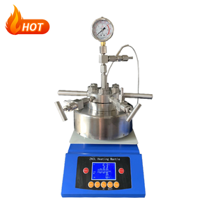 Reactor de Alta Presión de Acero Inoxidable Ideal para Procesos de Hidrogenación y Agitación - Product Image 2
