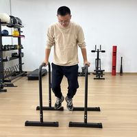 Barres parallèles Tellus, station de dips, barre multifonctionnelle en acier durable, support d'entraînement portable pour la maison, exercices pour les bras