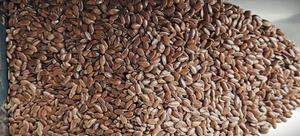 Graines de lin Alsi 100% naturelles, qualité d'exportation, approvisionnement en vrac, triées et nettoyées pour les produits agricoles, prix de gros - Product Image 4