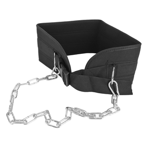 6with Chain and Carabiner for <strong>Dips</strong> <strong>Pull</strong> <strong>Ups</strong> and Weightlifting Exercises - Product Image 5
