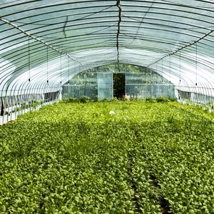 Invernadero ecológico de un solo tramo con cubierta de plástico PE de 200 micras, material agrícola utilizado para cubrir. - Product Image 5