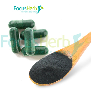 FocusHerb USA Entrepôt Stock Poudre d'Algue de Spiruline de Qualité Super Alimentaire Poudre de Spiruline en Vrac - Product Image 3