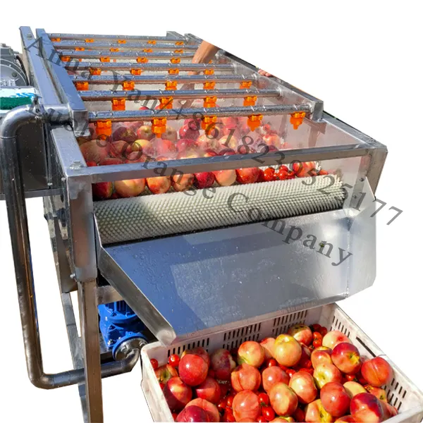 Fruit Wasmachine/Oranje Wassen En Polijsten Machine