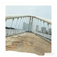 Cable de Acero Inoxidable de Alta Resistencia para Puentes Peatonales, Cable de Soporte para Puentes Arqueados de Acero Personalizados