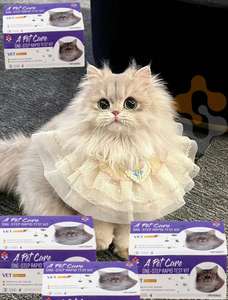 Immunodéficience féline/Corona/Calicivirus/<span class=keywords><strong>Test</strong></span> rapide d'antigène d'hépervirus Fpv Fcov Fhv fcv Fip Toxo Giardia <span class=keywords><strong>test</strong></span> pour la maladie des animaux de compagnie - Product Image 5