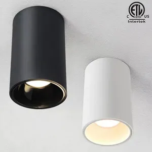 Master B Series 3 Inch 4 Inch 5 Inch Surface LED Downlight Black White Square Round ETL COB Spot Pendant Chandelier