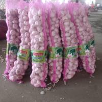 Fournisseur d'ail frais de Chine, ail blanc de qualité supérieure, ail en gros pour l'exportation