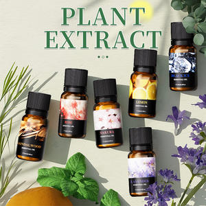 เครื่องเพิ่มความชื้นในอากาศแบบธรรมชาติ พร้อมน้ำมันหอมระเหยอโรมา หินกระจายกลิ่นหอมแบบขยายตัว ชุดน้ำมันอโรมาเธอราพีแบบละลายน้ำได้ 12 และ 6 ชิ้น - Product Image 4