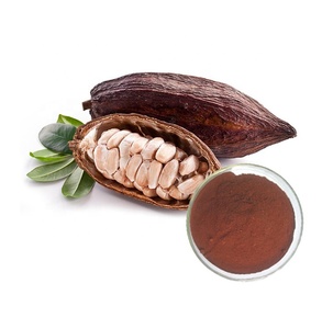 <span class=keywords><strong>Polvo</strong></span> de semilla de coco, teobromina 20%, fabricante de China, muestra gratis - Product Image 1