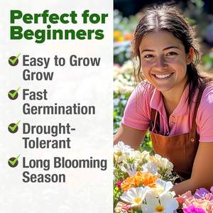 Paquete a granel de rosa musgo 23.500 cultivada en casa Portulaca Grandiflora sin OGM Cubierta de suelo de flores anual de bajo mantenimiento para exteriores - Product Image 4