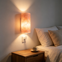 Lampe en sel rose de l'Himalaya de haute qualité avec variateur d'intensité, base en bois, pour décoration de spa à domicile, veilleuse, vente en gros