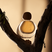 Nouveau Design Boule Couvercle Forme Spéciale Cosmétique Verre 30ml Transparent Personnalisé Bouteille Vide Huile Essentielle Liquide Fond de Teint Bouteille