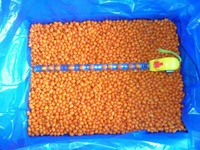 Oem/Odm Hoge Kwaliteit Hot Sell China Fabriek Bevroren Fruit Voedsel Voor Groothandel En Retail Iqf Frozen Duindoorn Hele Haccp Brc