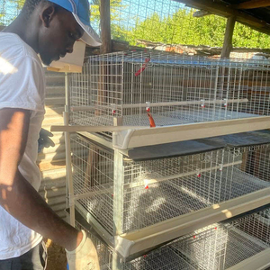 Động vật lồng hệ thống h loại nhà máy bán buôn mạ kẽm Gà Thịt gà cho gia cầm h-loại trang trại Thiết bị tiết kiệm nuôi nhà - Product Image 5