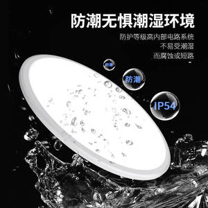 Modern Minimalist Ceiling <b>Light</b> 12W 18W LED Round Balcony Hallway <b>Light</b> Hardwired <b>Switch</b> Control 10 Year Warranty - Product Image 3