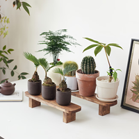 Bloc à couteaux magnétique en bois massif de petite taille, design moderne pour usage intérieur, taille personnalisable, rangement d'outils