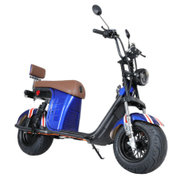 Bicicleta de Turismo de Alta Gama con Llantas Anchas, Manubrio Elevado, Distancia Entre Ejes de 1000W, Motor de 1000W, Batería de Litio, Capacidad de 200 kg