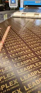 Papel de película impregnada de resina fenólica de 4 '* 8' para madera contrachapada con revestimiento de película - Product Image 2