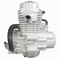 Ensemble Moteur de Tricycle à Refroidissement Liquide Double pour Tricycles Lourds 200cc 250cc 300cc 350cc