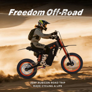 Freeboy <span class=keywords><strong>CA</strong></span> UKウェアハウスファットタイヤデュアルサスペンションEオートバイ新品48V 30AHオフロード電気オートバイ - Product Image 3