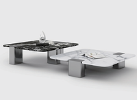 Table unique de meuble pour le salon et la chambre à coucher Table d'appoint au design moderne Tables basses de centre de thé en métal et en verre