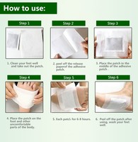 Meilleure Vente : Patchs Détoxifiants Médicamenteux pour les Pieds du Japon – Élimination des Toxines