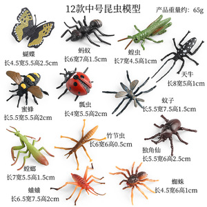 ตั๊กแตนตำข้าวรูปแมลงจำลองเพื่อการศึกษาของสะสมแมลงมดผีเสื้อแมงป่องตั๊กแตนตำข้าวแมงมุมของเล่น - Product Image 6