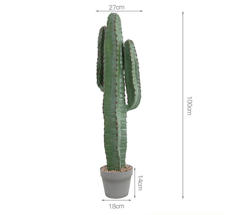 Cactus de velours rouge D