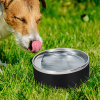 Bol à eau pour chien personnalisé avec logo, gamelle surélevée de luxe pour chat et chien, bol en métal antidérapant avec distributeur de nourriture lente