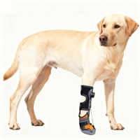 Bottes orthopédiques professionnelles pour chien avec système à molette rotative, semelle rigide antidérapante, chaussures pour animaux qui ne tombent jamais, protection de la cheville