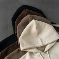 Vente en gros d'usine, sweats à capuche décontractés d'automne, coton de haute qualité, unisexe, coupe ample, impression personnalisée