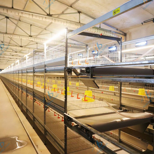 Dayanıklı durumda en iyi fiyat otomatik çok katmanlı tavuk Broiler tavuk çiftliği için kullanılan kafesleri - Product Image 4