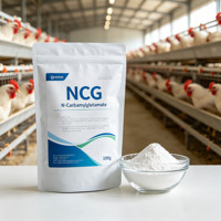 Additif alimentaire NCG (N-Carbamylglutamate) pour la croissance et la reproduction des poulets de chair et des poules pondeuses