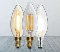 Décoration de festival, jardin, parc, Noël, ampoules à filament LED pour plafond, 2W, 4W, 6W, ampoules à économie d'énergie, lumières LED pour la maison