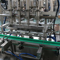 Machine de remplissage entièrement automatique pour bouteilles en plastique et en verre de jus de fruits, d'eau minérale et de sauce piquante