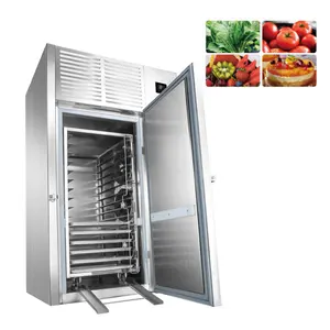 Grace CE Rohs NSF commercial cold storage 10 trays ice cream cold room gelato chiller industrial air plate blast freezer