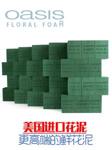 Espuma Floral Oasis Húmeda <span class=keywords><strong>para</strong></span> <span class=keywords><strong>Arreglos</strong></span> <span class=keywords><strong>Florales</strong></span> Bloques Ladrillos <span class=keywords><strong>para</strong></span> Florista Flores <span class=keywords><strong>Artificiales</strong></span> de Seda Poliestireno Verde <span class=keywords><strong>Esponja</strong></span> <span class=keywords><strong>para</strong></span> Floricultura - Product Image 2