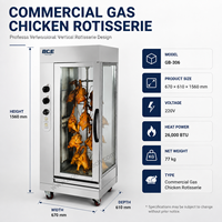 Rôtissoire à poulet commerciale en acier inoxydable, certifiée CE, fabricant chinois, 306 220V GPL et gaz naturel
