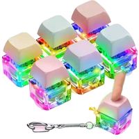 Porte-clés lumineux LED de style dessin animé, porte-clés en plastique acrylique d'anime, porte-clés de test